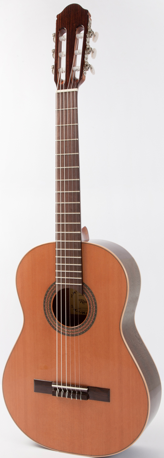 Raimundo 1492/61 Cedar